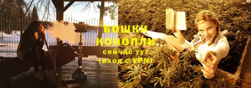 сколько стоит  Егорьевск  Канабис Ganja 